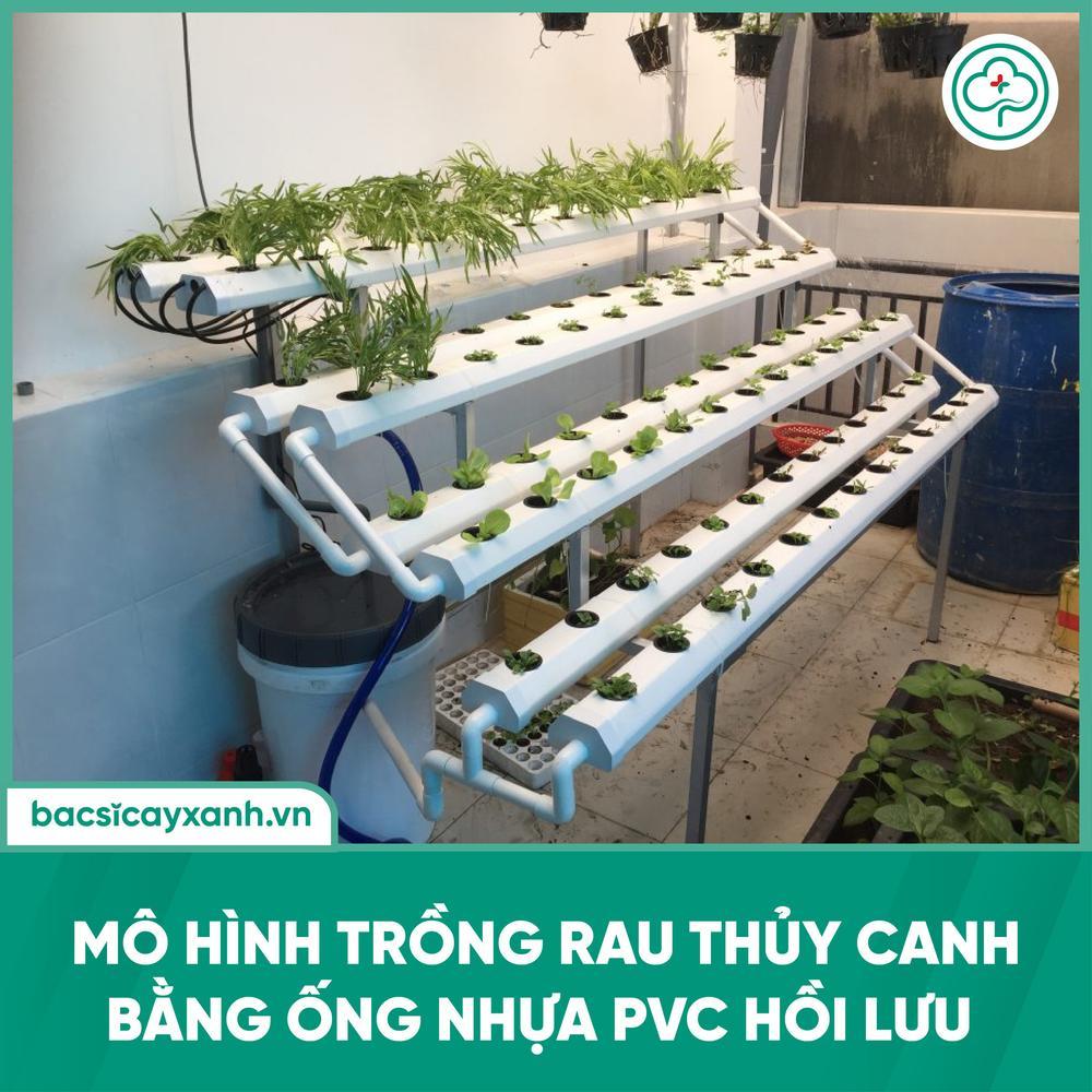 mô hình trồng rau thủy canh bằng ống nhựa PVC hồi lưu